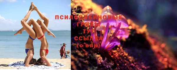 ГАЛЛЮЦИНОГЕННЫЕ ГРИБЫ Бронницы