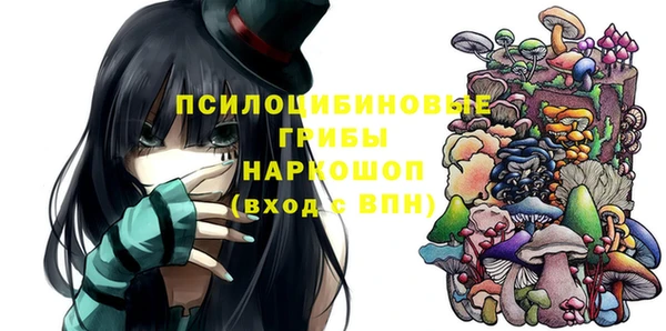 гашик Волоколамск