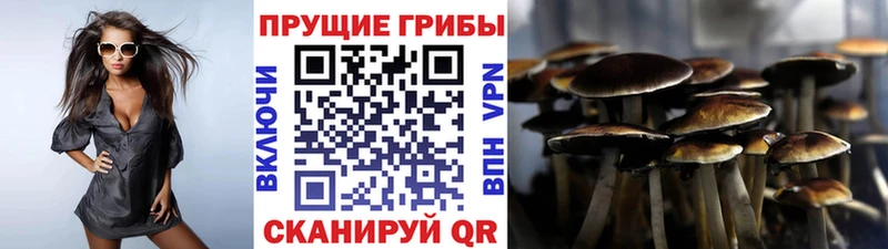 Псилоцибиновые грибы мицелий  МЕГА зеркало  Заинск 