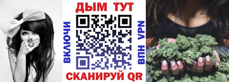 даркнет наркотические препараты  Заинск  Каннабис сатива 